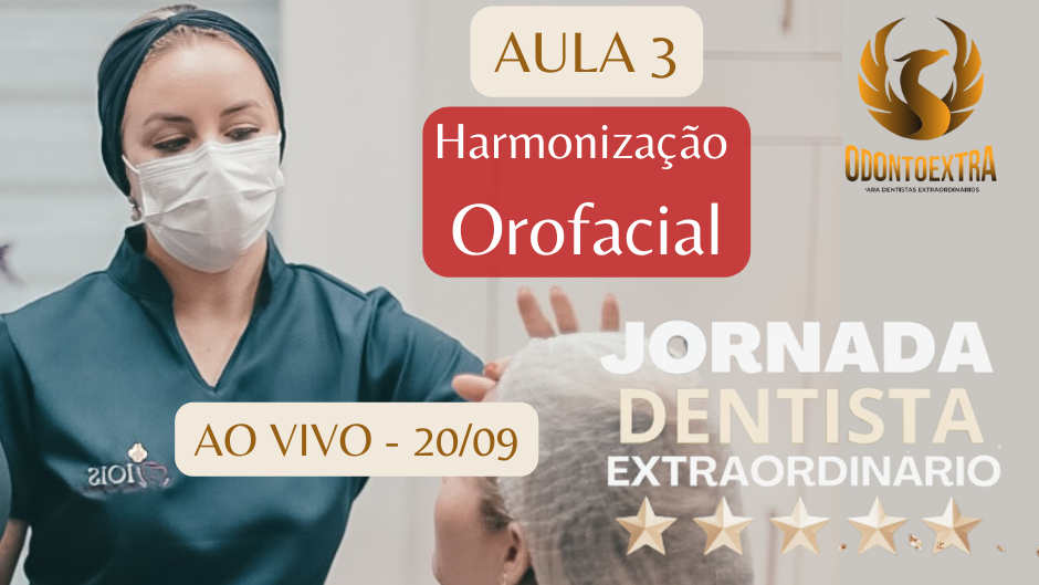 bannerAula2009